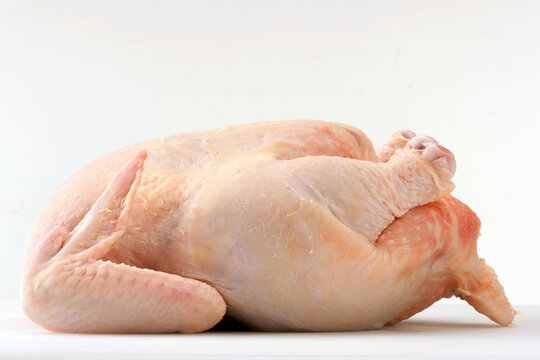 Whole raw chicken on white background