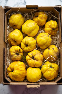 Box of fresh yellow quinces in a cardboard crate