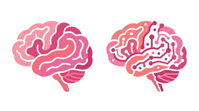 Pink and red abstract human brain hemispheres with neural network connections and organic brain structure for medical or technology concepts.