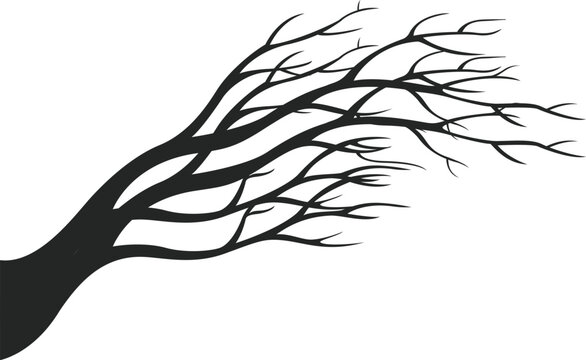 Bare Windswept Tree Branches Silhouette for Autumn Decor