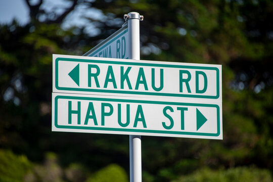Street Name in Wellington - New Zealand
