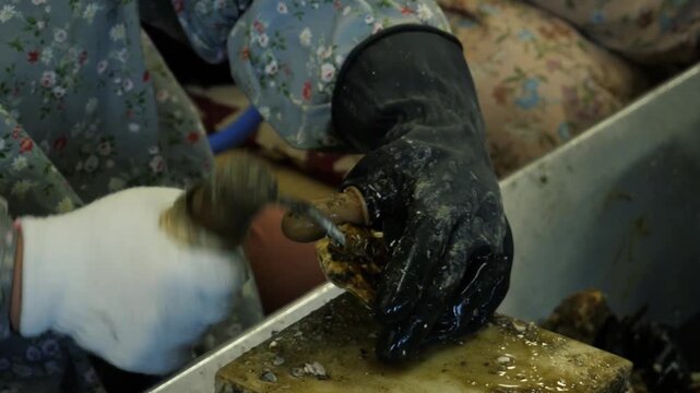 Close view of gloved hands opening oyster shells