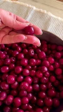 Close up of a hand holding a fresh ripe cherry over a bowl full of red berries.