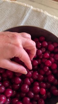 Close-up of a hand and a ripe cherry in a bowl full of red fruit.
