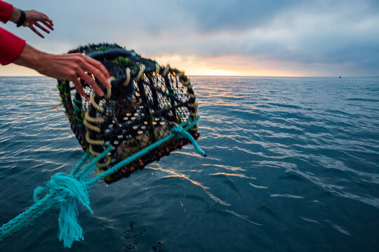 Fisherman launching a fish trap from fishing boat at sunrise in Brittany - France