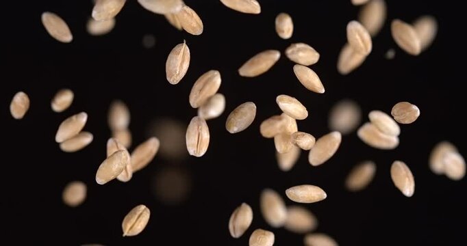 Pearl barley grains falling in slow motion 1000 fps on black background