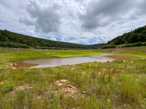 Drying lake bead in green valley