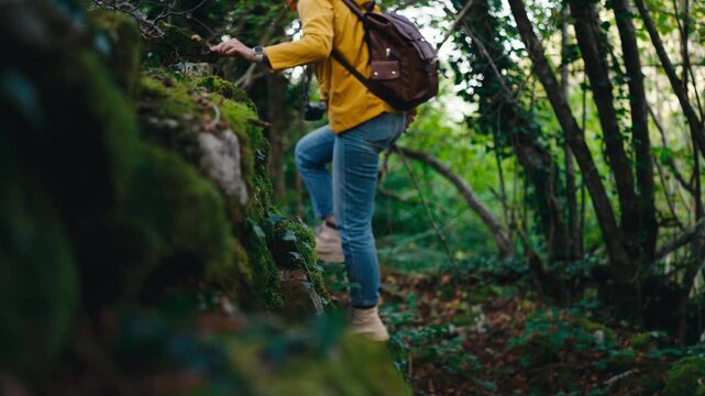 Brave young woman wearing a yellow jacket and carrying a backpack while hiking and climbing up a mossy rock in a dense forest, enjoying an active lifestyle and outdoor adventure