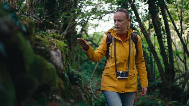 Female explorer in a yellow jacket with a vintage camera walking through a dense, green forest, touching the moss on a rock as she hikes along a path, connecting with the natural environment