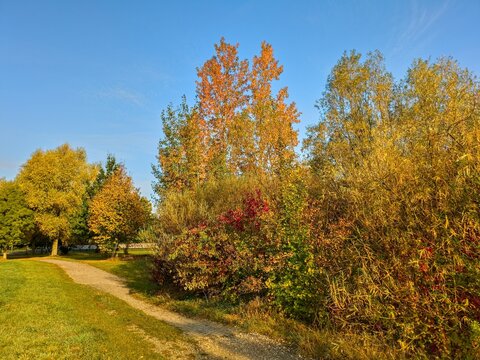 F&uuml;r einen herbstlichen Spaziergang direkt in und um Hannover-Bemerode bieten sich im  goldenen Oktober wunderbare , farbenfrohe Einblicke in Die Natur.