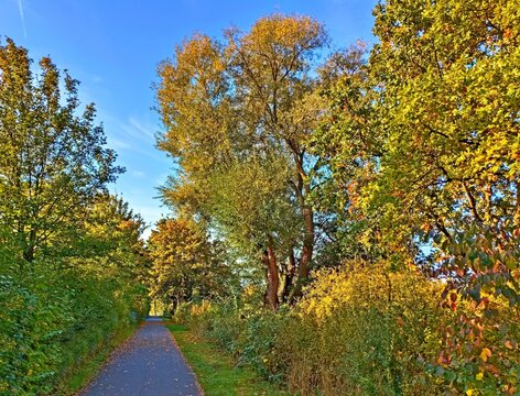 F&uuml;r einen herbstlichen Spaziergang direkt in und um Hannover-Bemerode bieten sich im  goldenen Oktober wunderbare , farbenfrohe Einblicke in Die Natur.