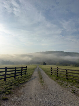 Dirt road and fields in mist at sunrise