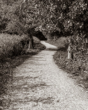 Empty rail trail path