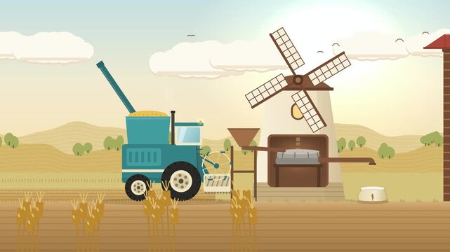 Wheat to bread process: combine harvest, windmill flour milling, rising dough and fresh loaf from the oven, 4K animation