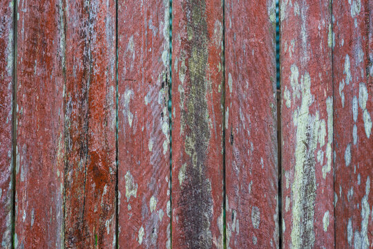 Close-up of old wooden fence covered in lichen