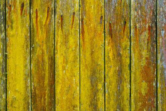 Close-up of old wooden fence covered in lichen
