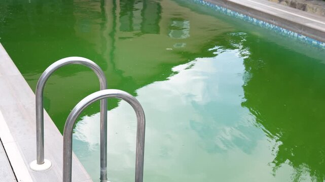 Dirty Green Swimming Pool Full of Algae in Backyard Garden