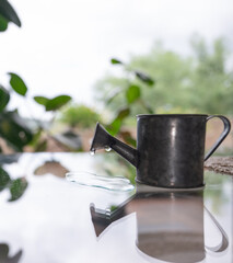 Miniature vintage watering can on a reflective glass table in a living room © LaSu
