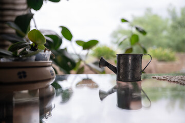 Miniature vintage watering can on a reflective glass table in a living room © LaSu