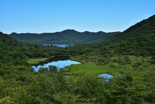 緑豊かな山々に囲まれた湿原と池