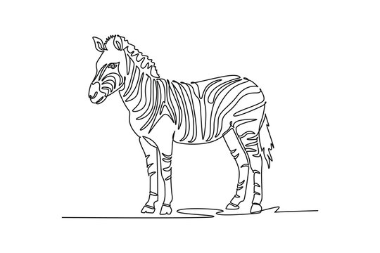 Single continuous line drawing wild zebra standing upright and alert on the savanna ground. Distinctive monochrome stripe, short mane, and perked ears. One line draw graphic design vector illustration