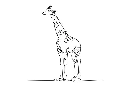 Single continuous line drawing wild giraffe standing tall and still in an upright frontal posture. Distinctive spotted coat pattern, and slender legs. One line draw graphic design vector illustration