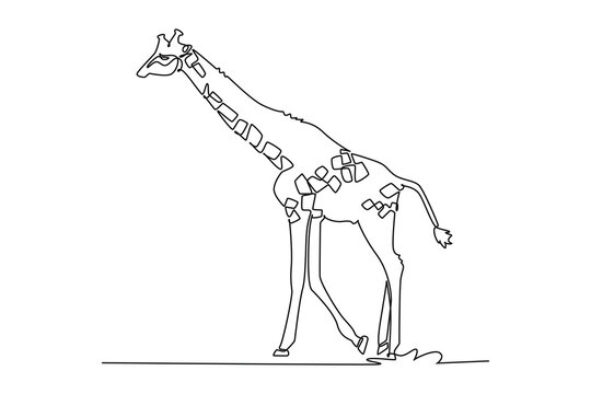 Single one line drawing tall giraffe walking gracefully across savanna grassland. Long patterned neck, spotted hide, slender legs, upright gait. Continuous line draw design graphic vector illustration