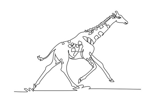 Single one line drawing tall wild giraffe galloping across the open savanna plains, highlighting its patterned neck mane, spotted hide markings. Continuous line draw design graphic vector illustration