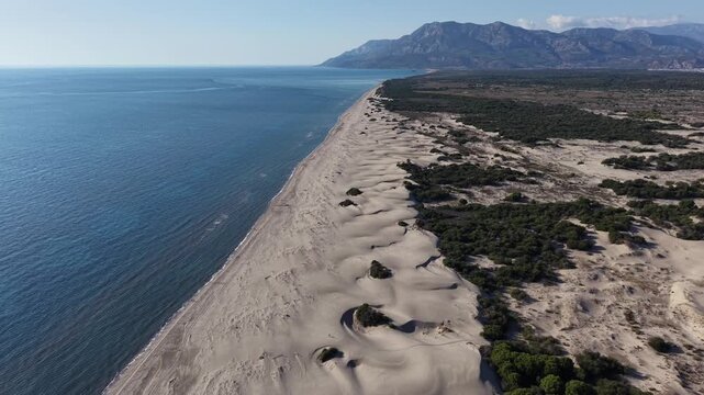 Aerial motion of expansive coastal sand dunes rolling parallel to calm blue sea with scattered green scrub and distant mountain range under clear sky, camera gliding along shoreline to reveal wind-swe
