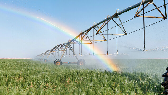 Center pivot irrigation system spraying water over green crop field with bright rainbow in mist, modern farm machinery under clear blue sky, conceptual smart agriculture and water management concept