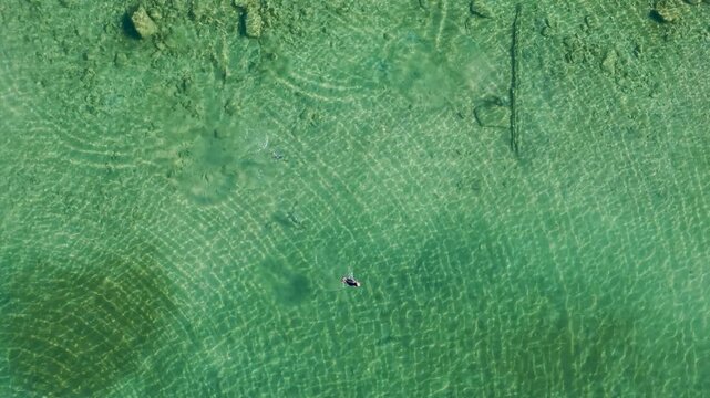 Three mergansers move across clear Lake Huron water above a patch of scattered submerged rocks near Hessel Michigan.
