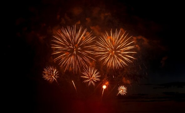 Fireworks in the night sky