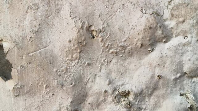 Damaged plaster wall with cracks and peeling paint. Close-up of a severely damaged, aged plaster wall. Heavy cracks and large areas of peeling and spalling paint layers are prominent across.