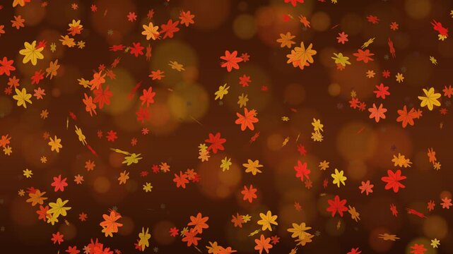 Red and golden maple leaves falling over warm autumn bokeh, seamless loop