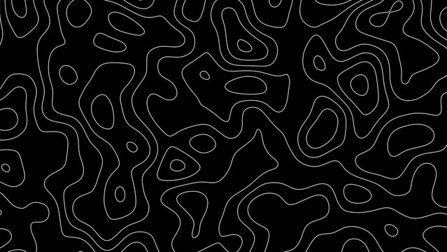 Minimalist Black and White Elevation Contour Lines Vector Texture