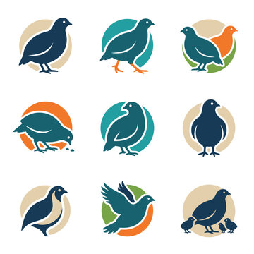 Collection of stylized quail bird icons in various poses and colors.