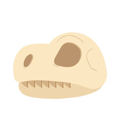Dinosaur Skull Fossil Illustration © Rendi
