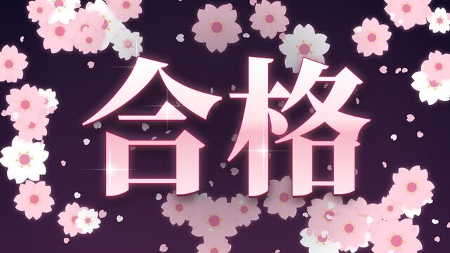 Exam success kanji with traditional cherry blossom pattern, cherry blossoms in full bloom with petals falling at night around the characters, pink and white night, 4K