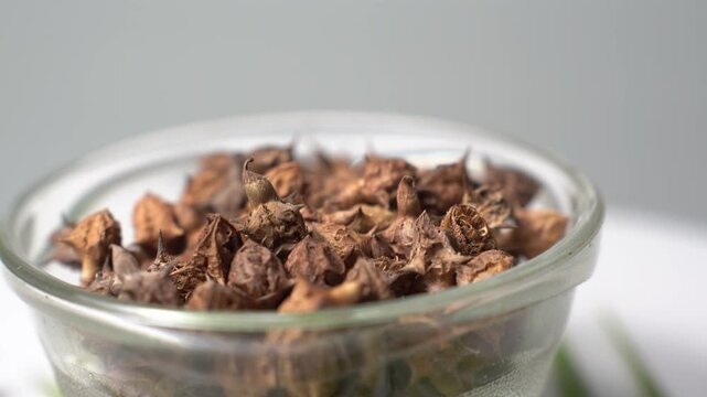 Gokhru &ndash; Tribulus Terrestris, Traditional Indian Ayurvedic Herb Known for Its Spiny Fruits, Herbal Wellness Uses and Botanical Importance
