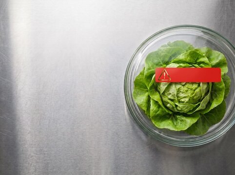 Fresh Lettuce Under Glass Petri Dish Warning Concept