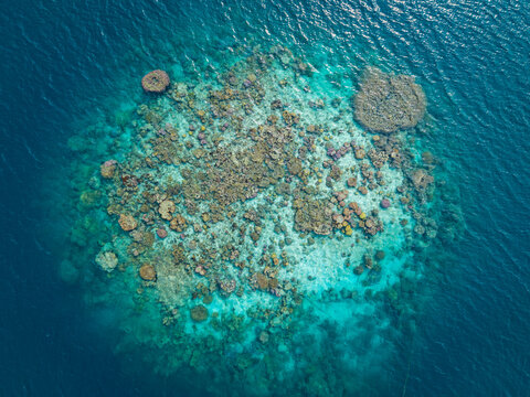 Aerial view of a vibrant coral reef surrounded by clear turquoise waters in Karimunjawa, Central Java, Indonesia.