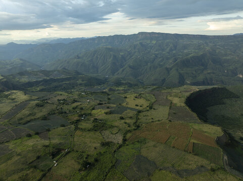 Aerial view of tequila agave fields in the rolling landscape of the highlands with lush green vegetation and mountains in the distance, Tequila, Jalisco, Mexico.