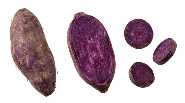 Whole purple sweet potato, a longitudinal half, and three circular slices isolated on a white background, raw tuber vegetable
