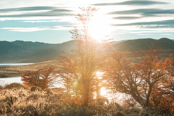 Fototapeta premium Autumn in mountains