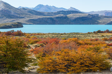 Fototapeta premium Autumn in mountains