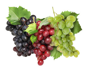 Fototapeta premium Red, green and black grape clusters isolated on white