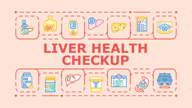 Liver health checkup banner infographic. Hepatitis nutrition, function fibrosis, screening diagnosis icon vector illustration