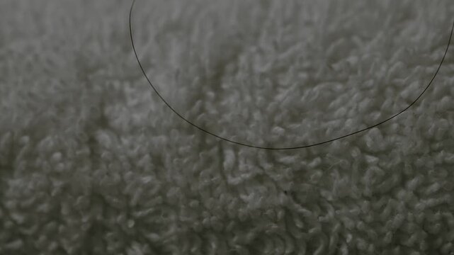 A hair on a hotel towel
