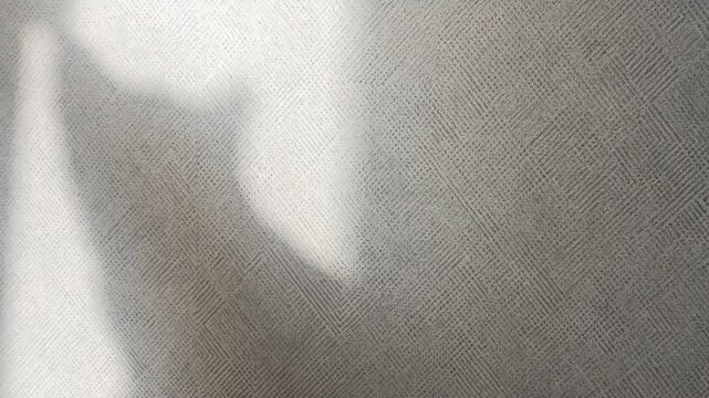 Shadow of a cat cast on a textured wall from sunny window light. Cinematic video of a cat's shadow silhouette moving gently on a beige textured wallpaper with soft sunlight for cozy backgrounds.