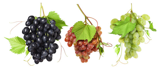 Fototapeta premium Grapes of different varieties against transparent background, set